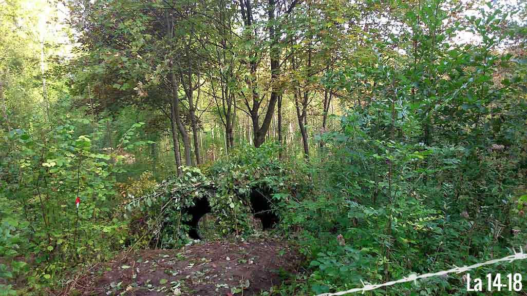 Canalisation dans la jungle
